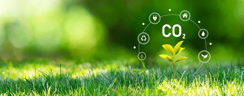 Illustration of a small plant growing, surrounded by CO2 graphics, symbolizing carbon footprint reduction.