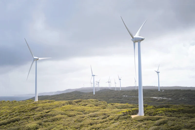Wind turbines on a coastal landscape representing renewable energy sources.