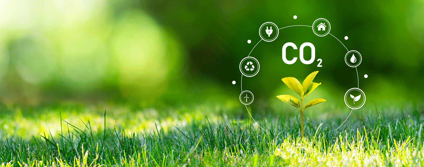 Illustration of a small plant growing, surrounded by CO2 graphics, symbolizing carbon footprint reduction.